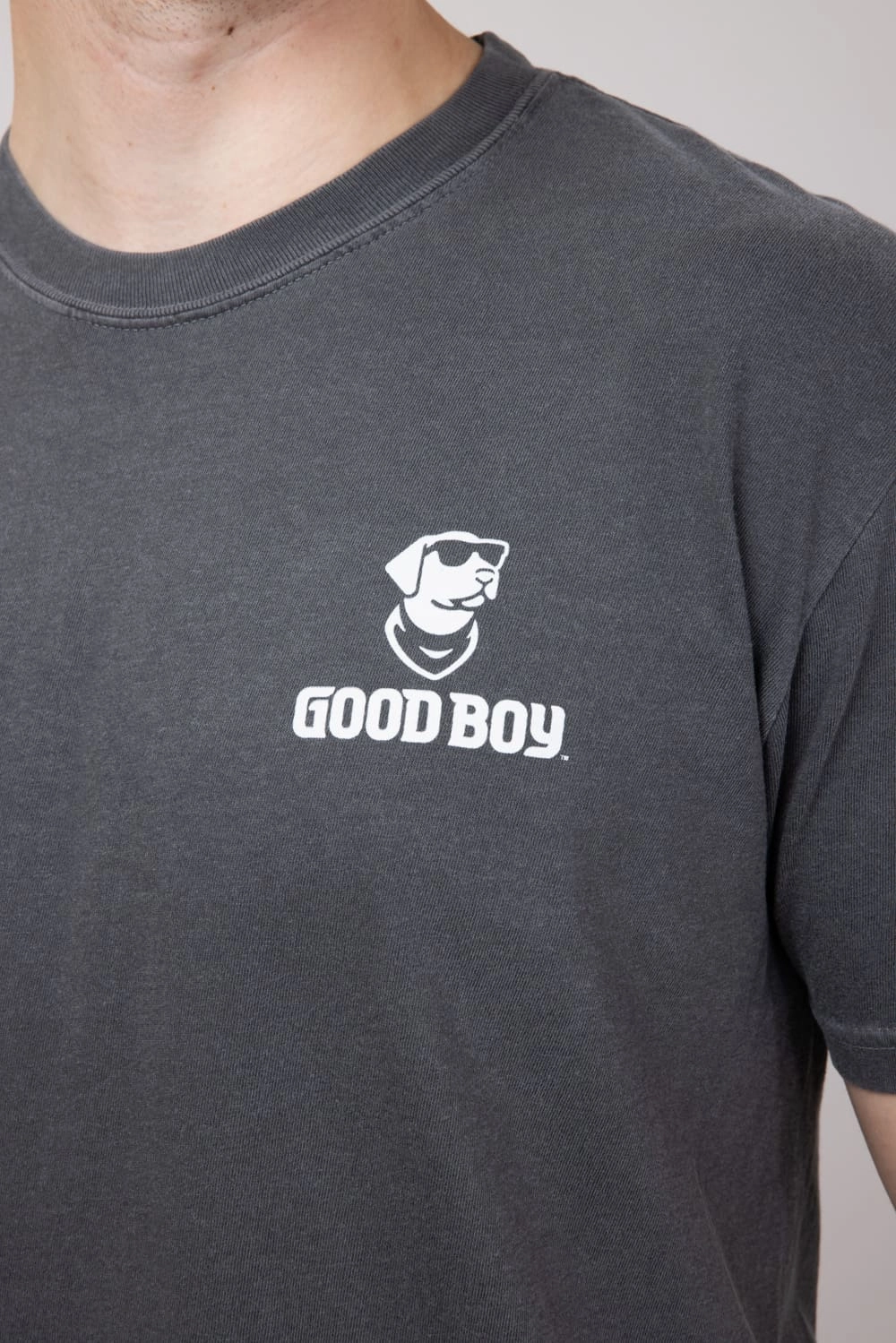 Weekend Smart Look Bold Look Hunt Club Dog T-Shirt for Men in Pepper | 2207-PEPPER