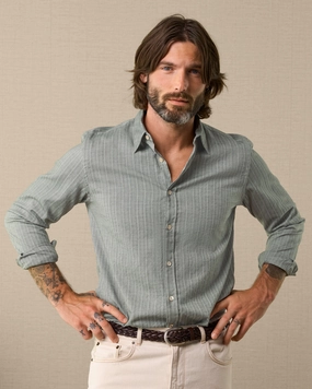 Dogna Limited Edition