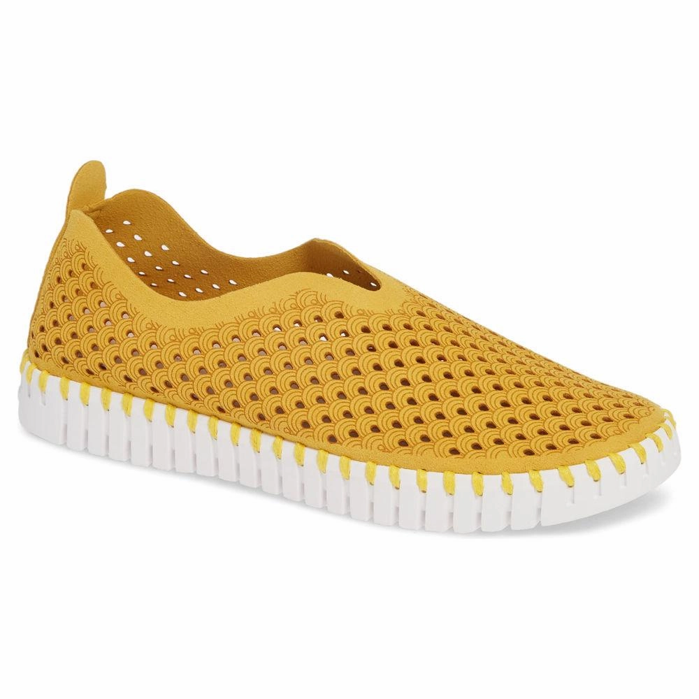 Hyperbolic Lasting Ilse Jacobsen Women's Tulip 139 Golden Rod Perforated