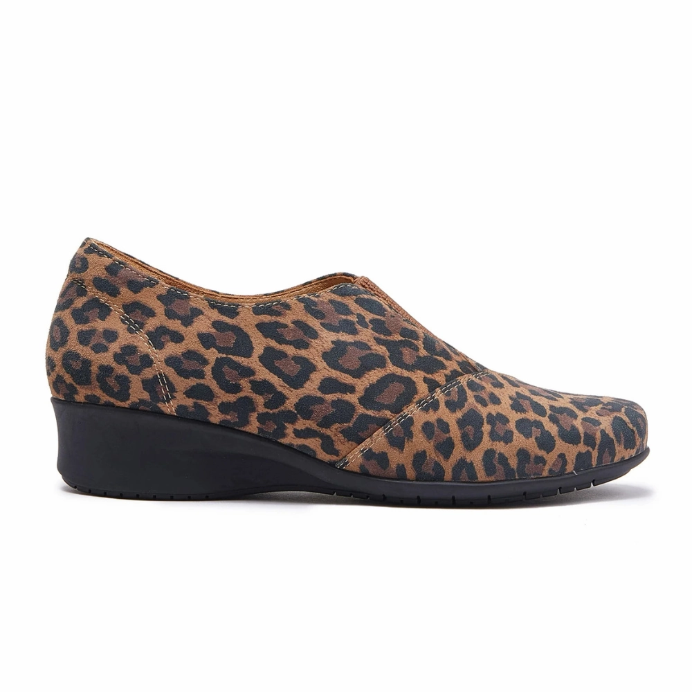 Group Hike East - Leopard