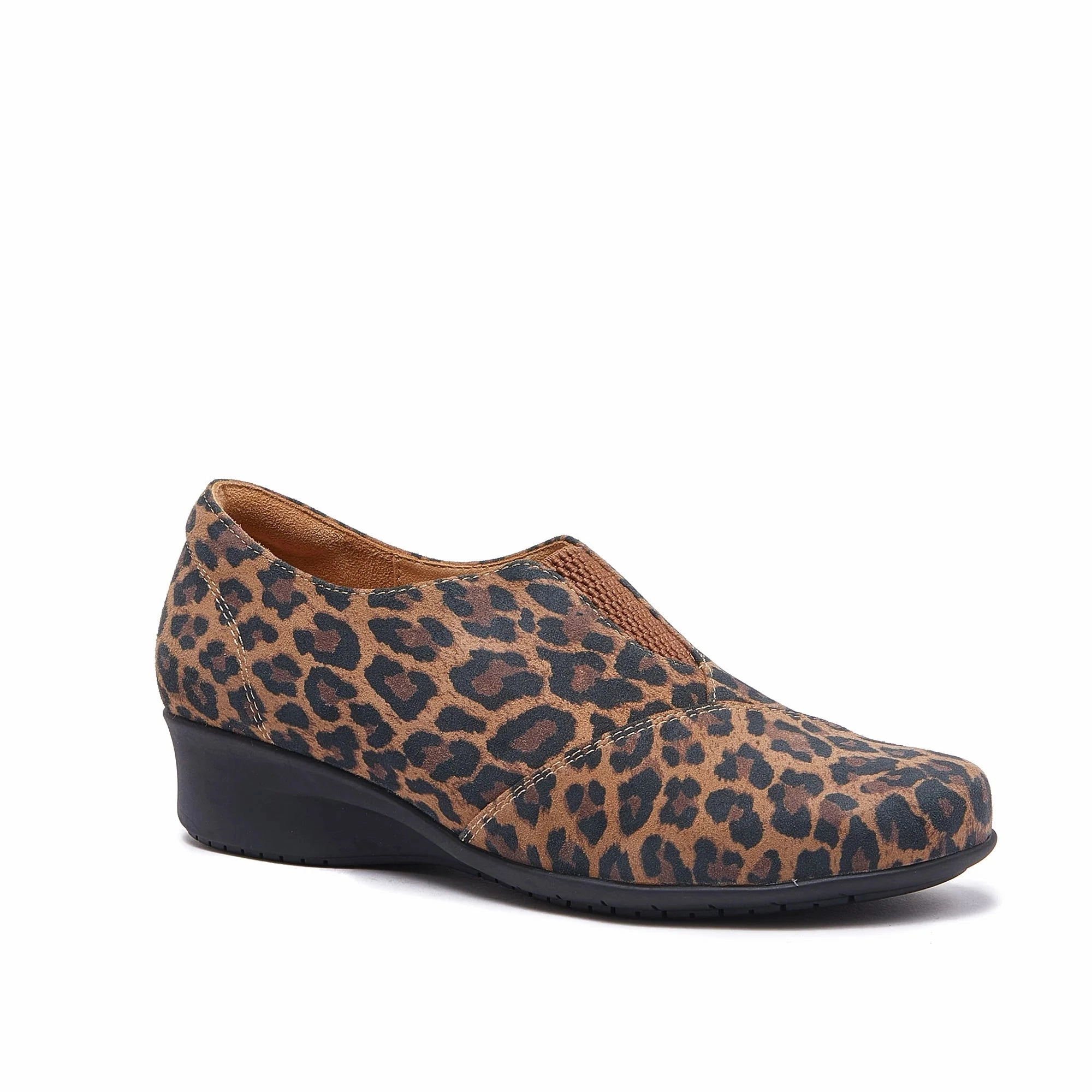 Soft Focus Oasis Hike East - Leopard