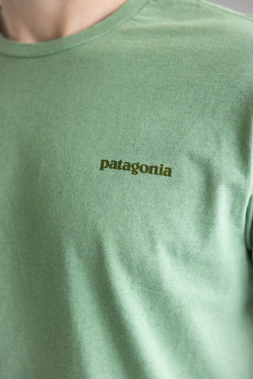 Cozy Apparel Patagonia Men??s Fitz Roy Icon Responsibili-Tee T-Shirt in Rinsed Green | 37838-ELGR GREEN