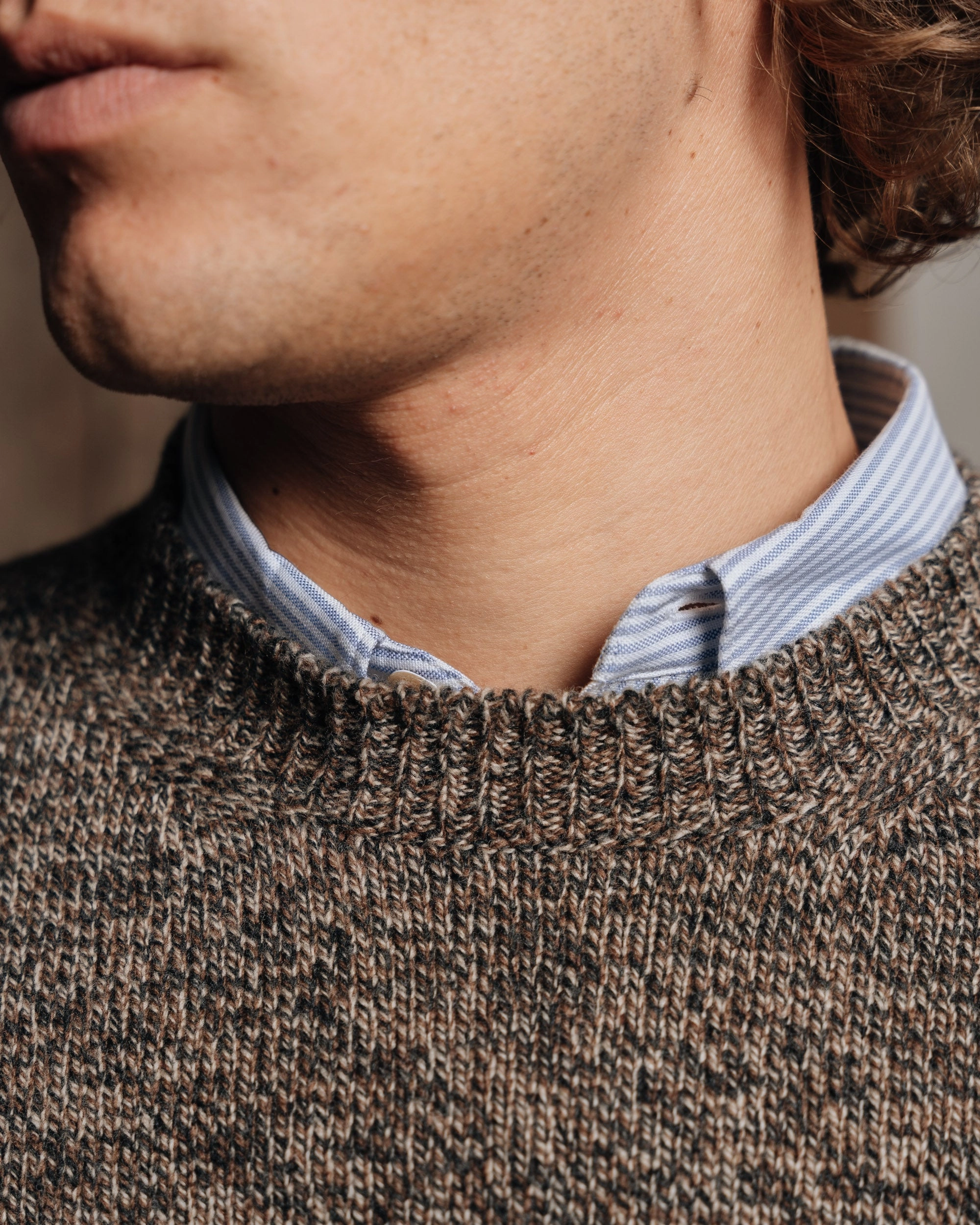 Unstructured Silhouette Silico